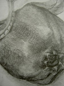 04_10009664536