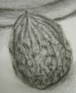 04_10011124256