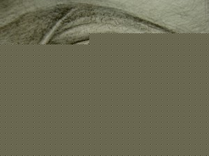 20100715_03 20100715_03