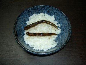 20101016_07