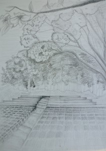 20110503_14