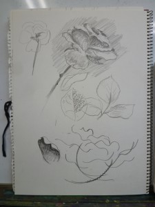 20141116_26
