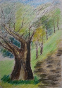 20160516_14