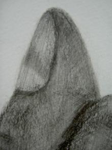 iri2