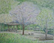 kyon