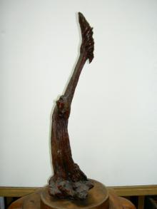 kobusi1