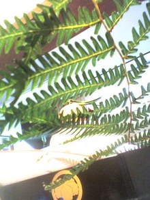 071231_2159~002.jpg
