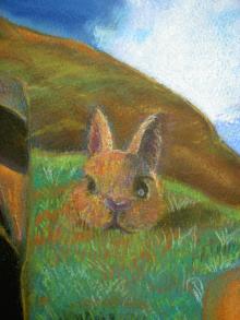 s3