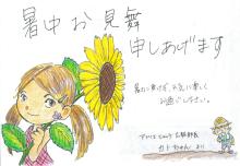 masumi