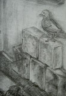 y4