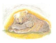 絵画教室アトリエヒュッテ-Ayumi Bear